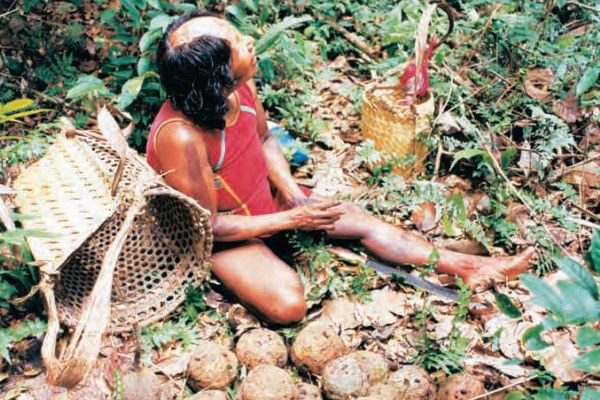 A person with a distinctive hairstyle sits on the forest floor, surrounded by leafy plants and woven baskets. They hold a machete and are next to a pile of round, brown fruits or vegetables.