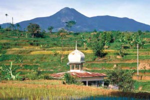 A scenic landscape of lush green rice terraces and trees in a valley. In the foreground is a small building with a mosque-like dome, and a large, prominent mountain is in the background.