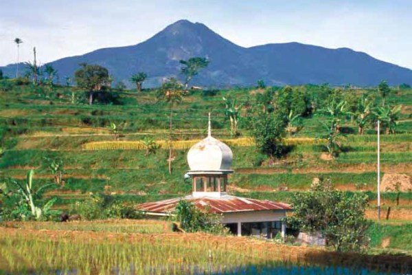A scenic landscape of lush green rice terraces and trees in a valley. In the foreground is a small building with a mosque-like dome, and a large, prominent mountain is in the background.