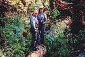 Two people wearing hard hats and work clothes stand on a large, fallen log in a dense forest. The scene is filled with lush greenery, and other logs and trees are visible in the background.