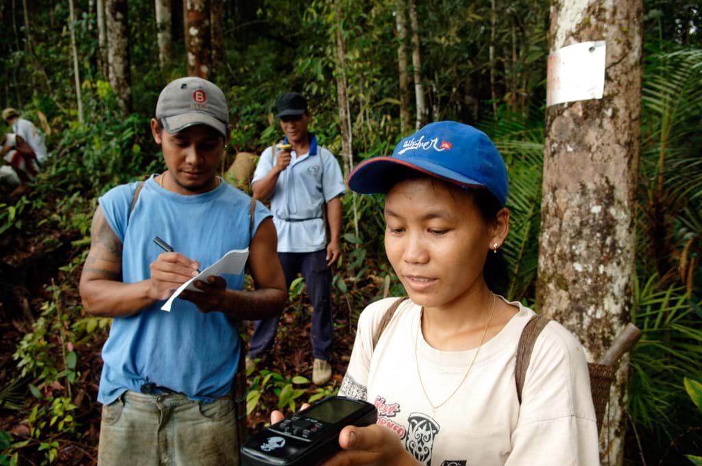 People in forest measuring the effects of climate change