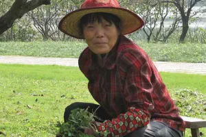 A middle-aged person wearing a red plaid shirt and a wide-brimmed straw hat kneels on a bench. They hold a handful of green leafy vegetables. Behind them is a grassy area with trees.