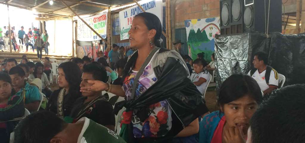 Woman asking a question during a community meeting.  This image is not available under the 4.0 Creative Commons license.