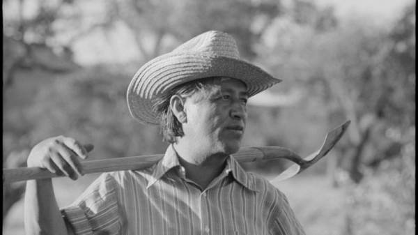 Cesar Chavez went on a 36-day hunger strike to draw attention to the harmful effect pesticides were having on America's farmworkers. This image is not available under the 4.0 Creative Commons license.