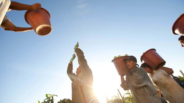 Food Chains offers a close-up look at the exploitation of US farmworkers. This image is not available under the 4.0 Creative Commons license.