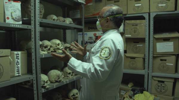 Scientist choosing a human skull from storage