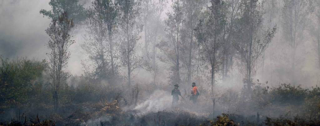 Trees in a forest are shrouded in smoke. Two people wearing fire protective gear stand in the haze.