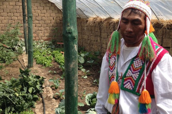 A man in a white shirt and a traditional woven vest and hat with vibrant tassels stands inside a greenhouse. In the background are rows of leafy green plants and a wall made of mud bricks and straw.
