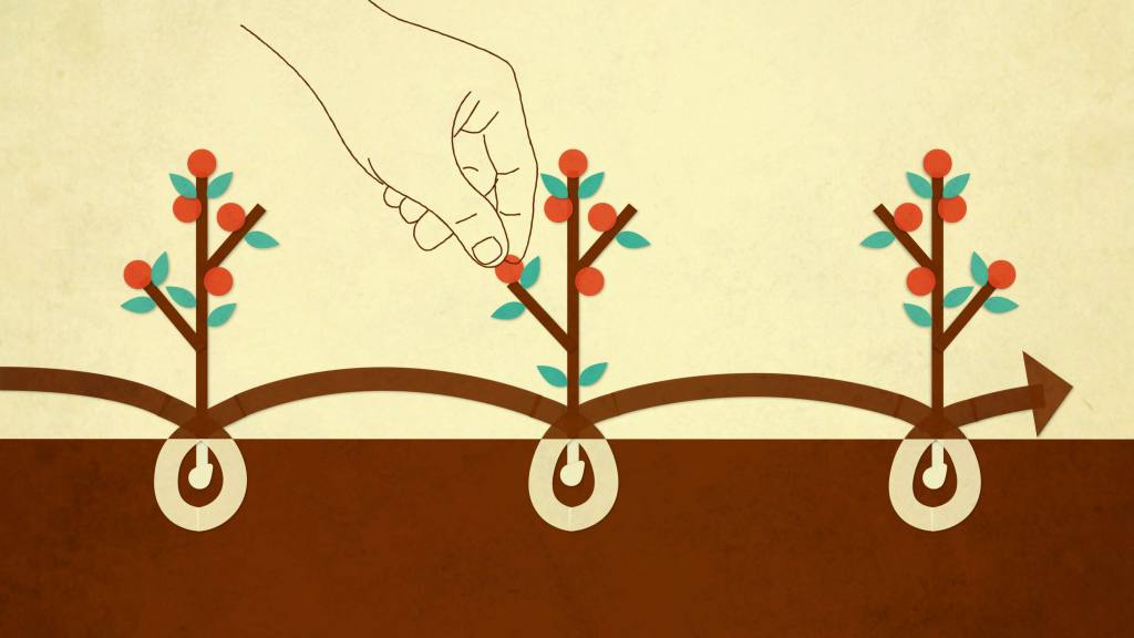 Illustration of planted seeds growing and giving fruit.
