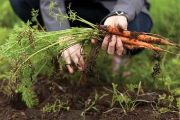 Food for Thought; Food for Life