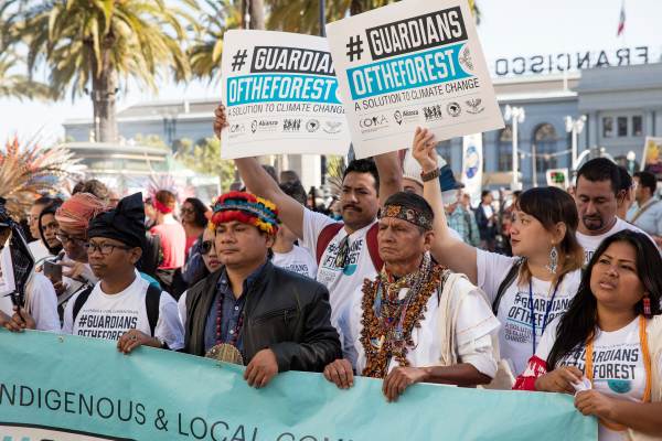 Indigenous rights activists, Guardians of the Forest