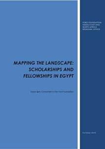 mapping the landscape fellowships in egypt