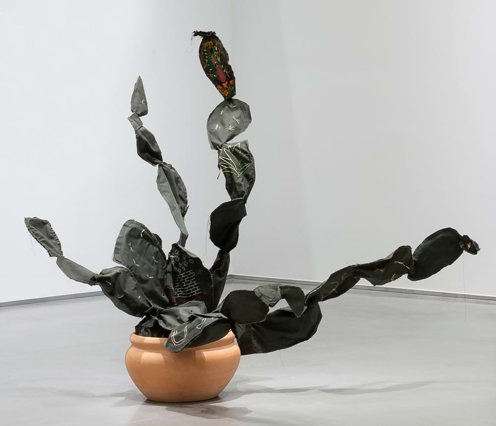 Space in Between - Nopal #5, 2007