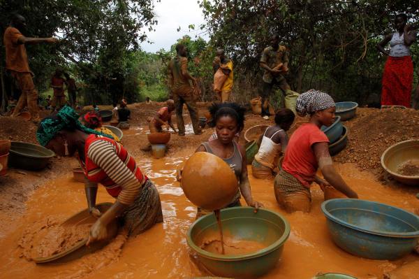 Prospectors pan for gold at a new gold mine found in a cocoa farm near the town of Bouafle in western Ivory Coast. Photo Luc Gnago/Reuters