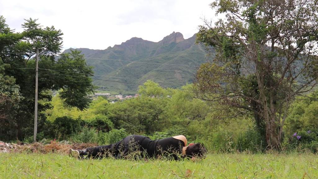 Person lying on the grass looking at a mountain range.