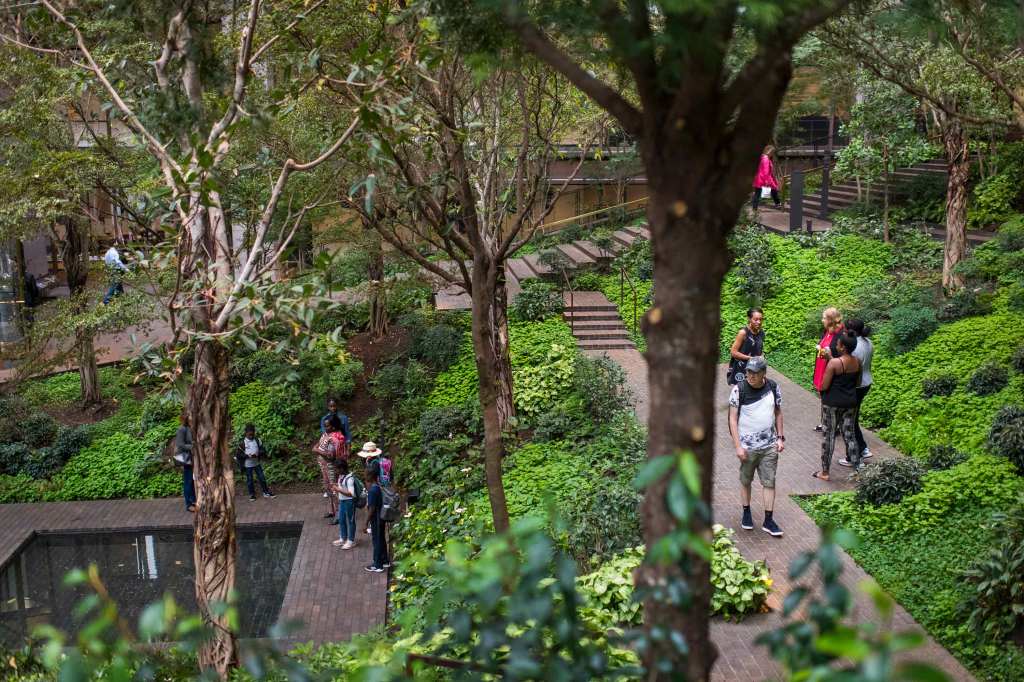 A person walking down the steps of the lush green gardens at the Ford Foundation Center for Social Justice