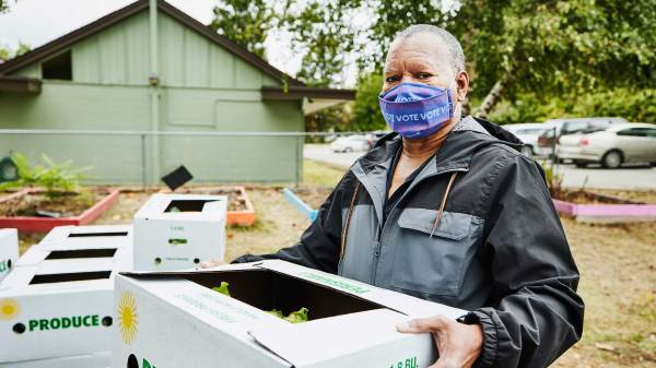 Senior man wearing protective face mask that says vote while carrying CSA box at community garden.