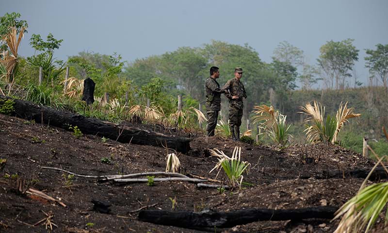 Two individuals stand amidst the burnt landscape of the Mayan Biosphere Reserve while surveying the aftermath of a forest fire. 