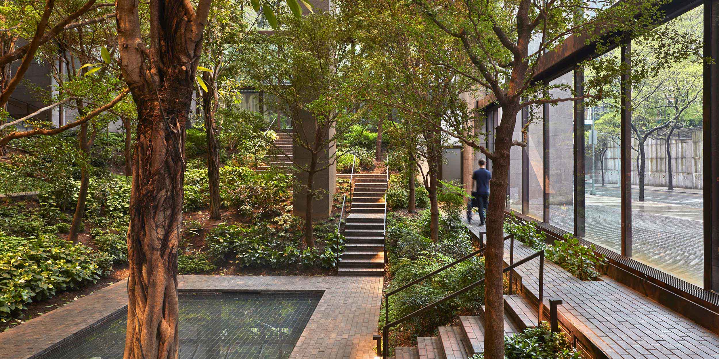 Between two trees, a man pushes a wheelchair user along a pathway. Beside him is a small reflecting pond surrounded by lush green plants.