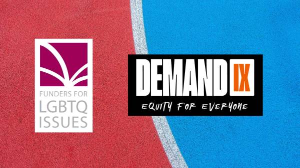Logos for Funders of LGBTQ Issues and Demand IX Campaign over an image of a red and blue rubber field with a white line.