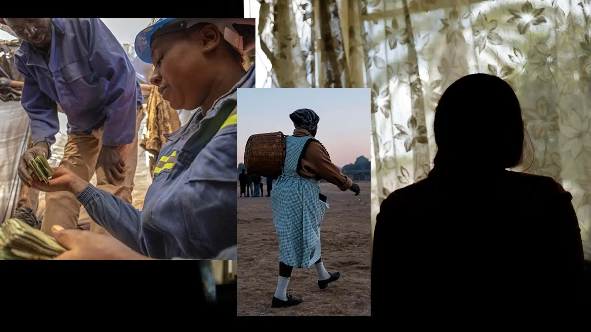 Examining extractivisms gendered violence and honoring the women fighting for change pic