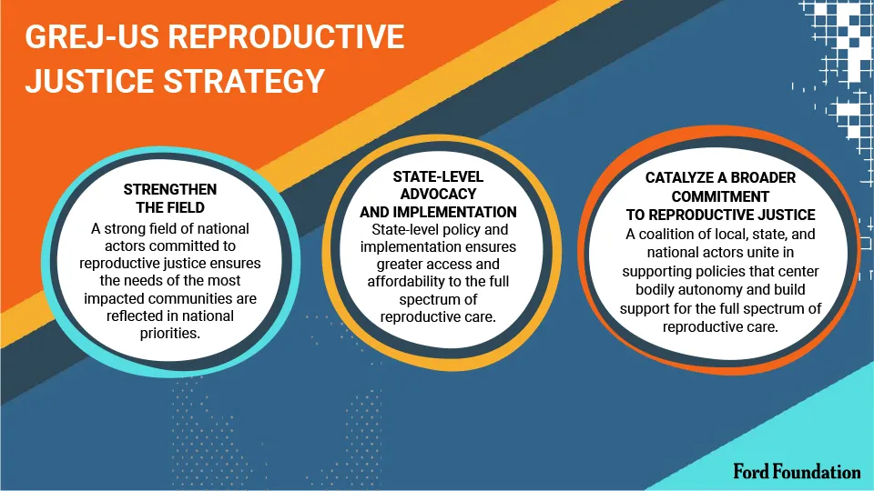 A visual representation of Ford Foundation's US reproductive justice strategy, highlighting the importance of healthcare equity and rights