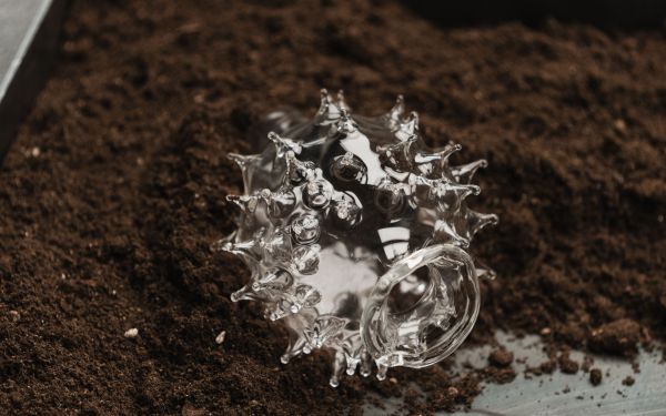 Glass vessel with prongs resting in a basin filled with dirt. Some dirt has been swept aside, revealing the metal bottom of the basin.