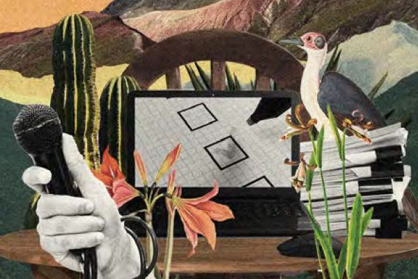 A collage from the report's internal copy made up of a hand holding a microphone, various plants, a stack of papers, a bird, and various other items.