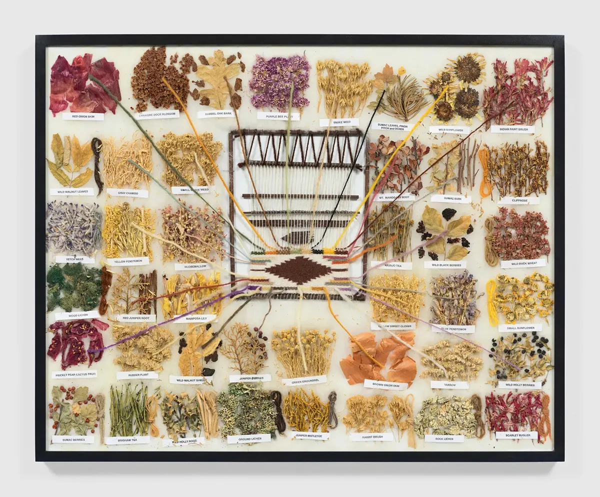 Dimensional diagram where plant samples correspond to colored yarn on a loom.