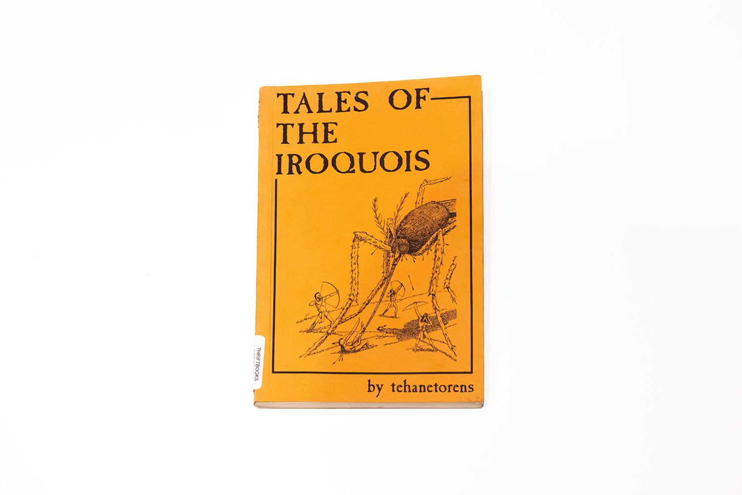 Book cover for, “Tales of the Iroquois” with an illustration of warriors fighting a giant mosquito.