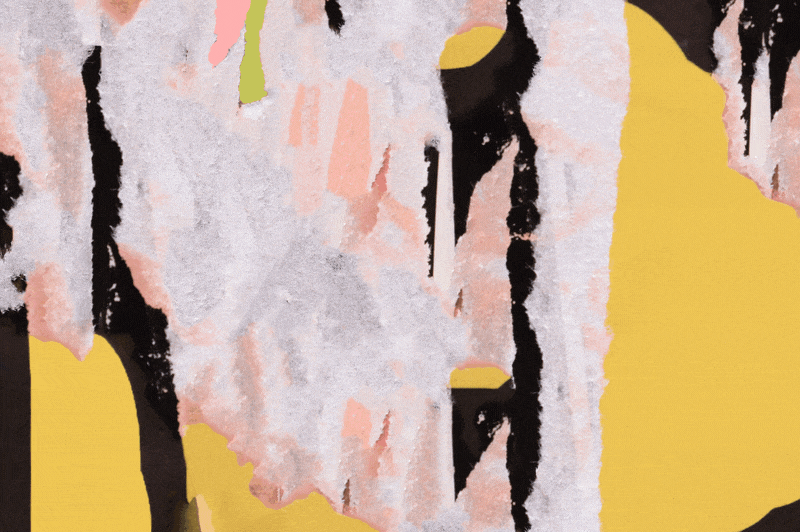 An animated gif of a woman wearing glasses and a black blazer with a white top stands against a vibrant, textured, colorful background with the number 17,000 prominently displayed.