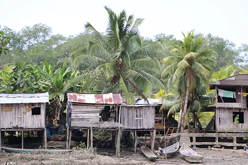 A group of wooden shacks built on stilts stands along a muddy shoreline, surrounded by lush tropical trees and palm trees. Small boats are pulled up on the mud and water in the foreground.