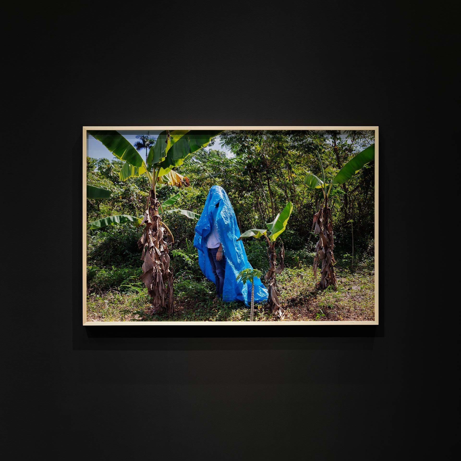 Kevin Quiles Bonilla - Carryover (Blue Tarp in Vega Alta), 2019, Photo: Sebastian Bach