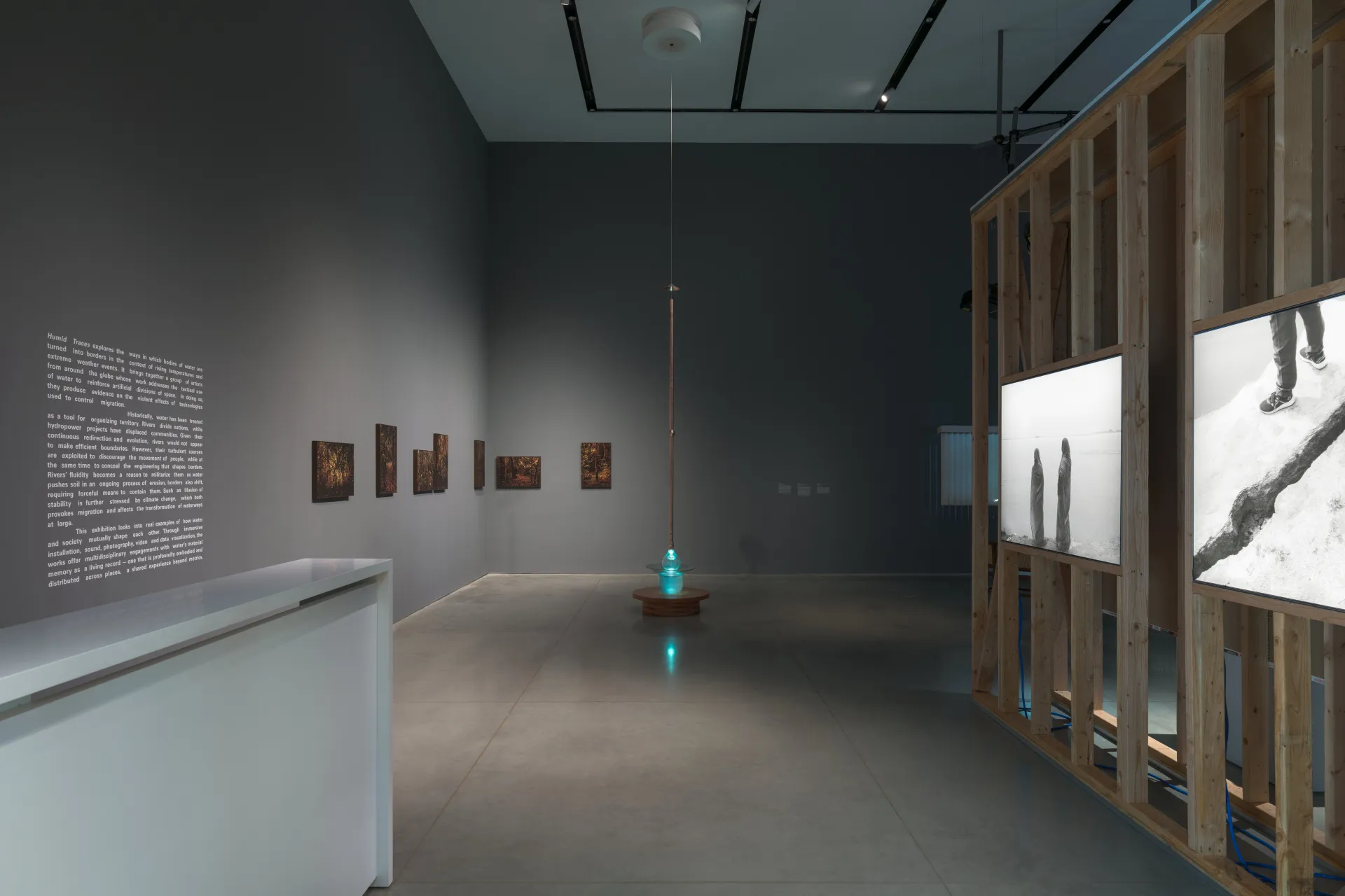 An installation view of an art gallery showing from left to right: a white desk, exhibition didactic text, a row of seven forest prints, an illuminating bulb connected by a long rod, and a wooden wall construction with grey-scale lightboxes.