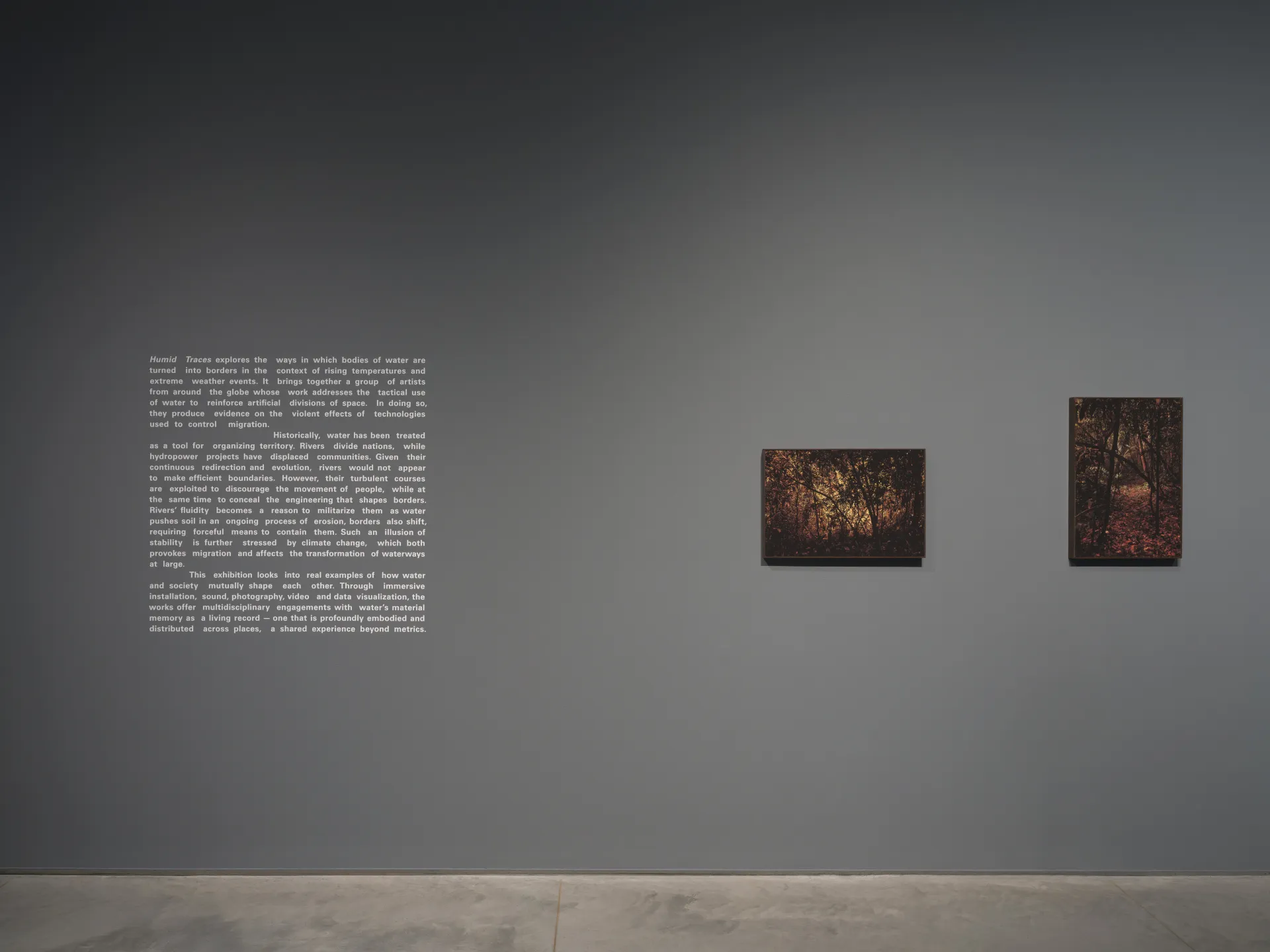 A gallery wall displaying exhibition text and two framed prints of a dark and saturated rainforest, one hung horizontally and one hung vertically.