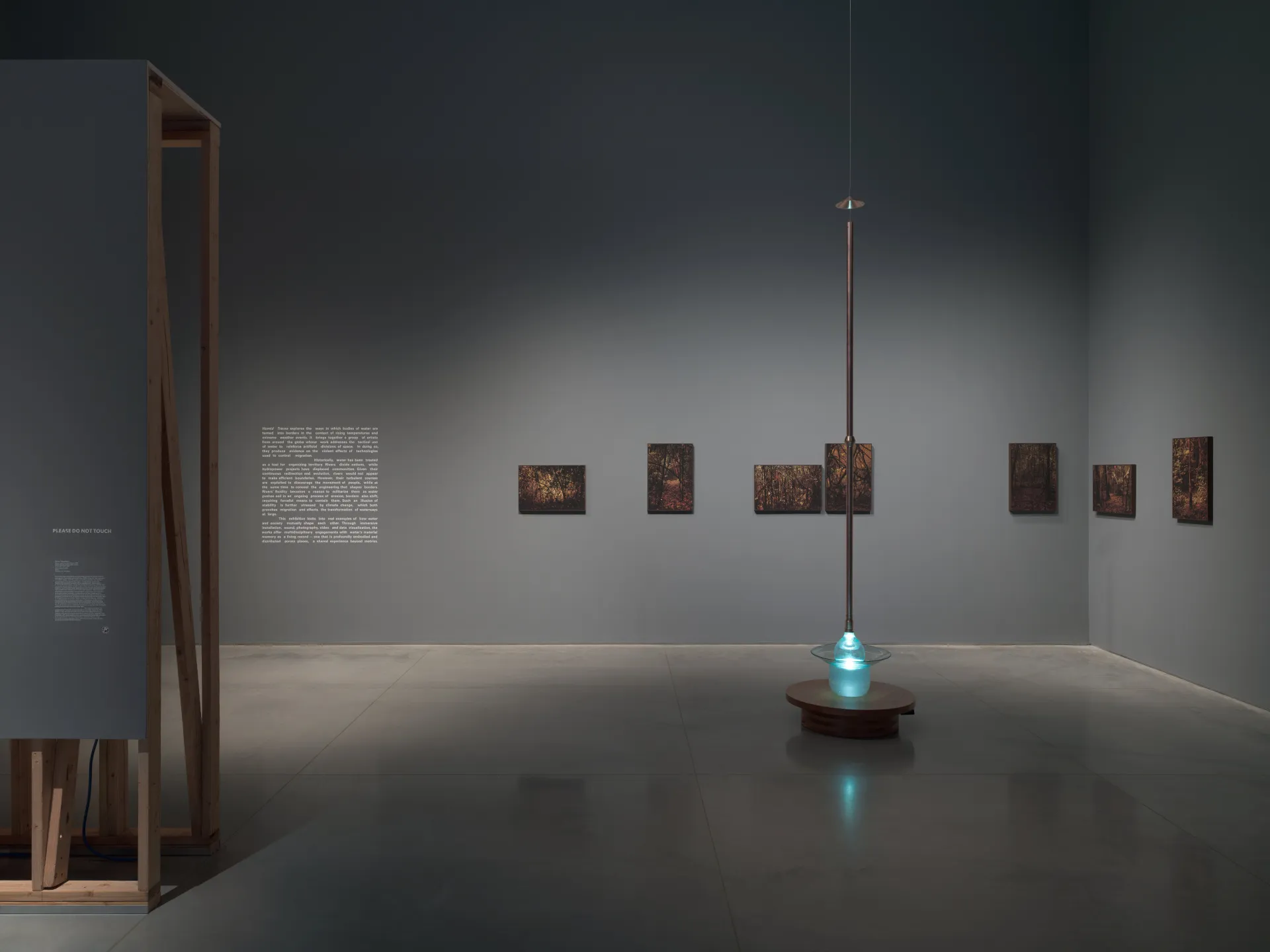 An installation view of a gallery exhibition displaying a corner of an assembled wall, introductory text, a row of seven photos of a rainforest, and a glass bowl sculpture.