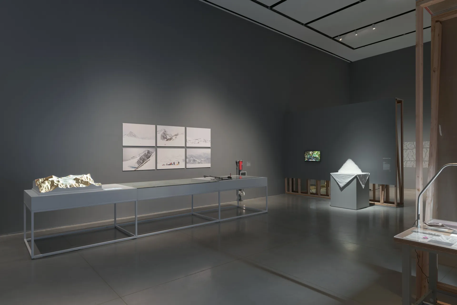 An exhibition view of a metal table displaying research on alpines, a video monitor, and a white fluffy pyramid sculpture.
