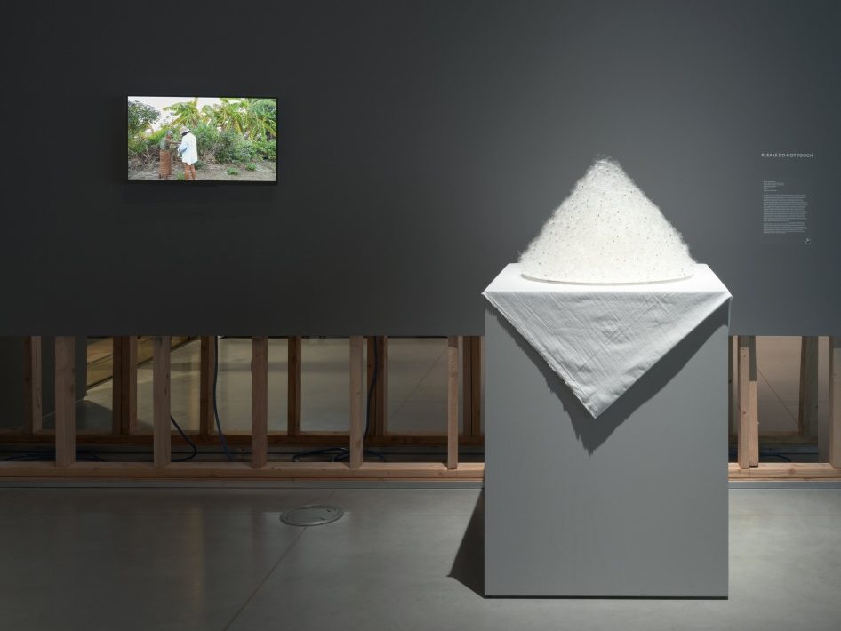An installation of a video next to a pile of feathery cone sculpture on top of a white cloth and gray pedestal.