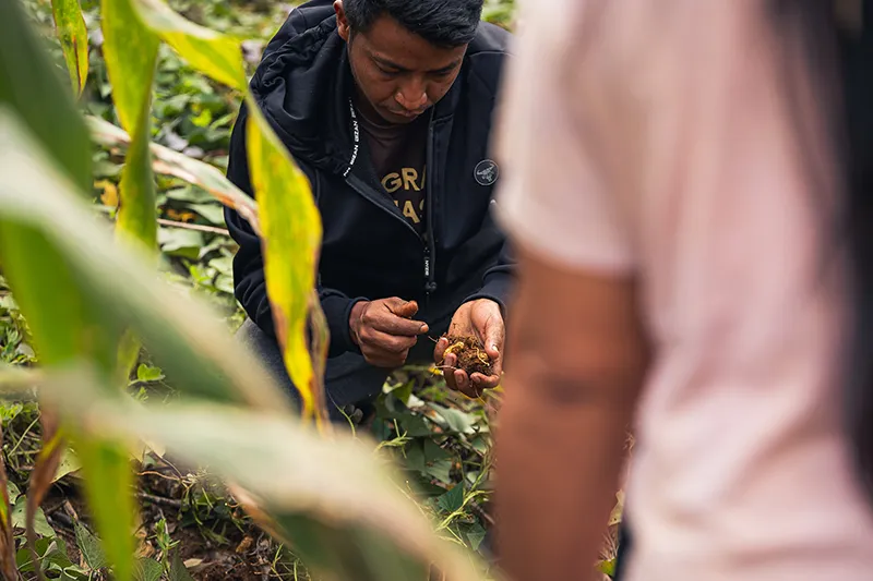 A person crouches in a field, examining plant material including peanuts and roots, with surrounding greenery. Another person stands in the foreground, partially visible. The environment suggests agricultural activity.