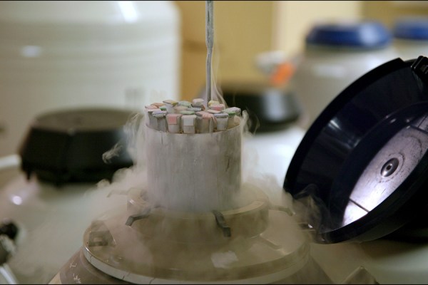 Cryogenic storage tank open with vapor rising around color-coded sample tubes inside a laboratory
