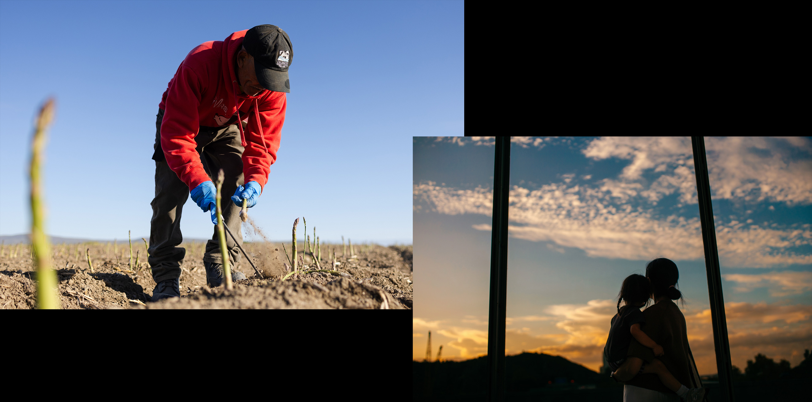 Alt Text: A photo collage depicting agricultural labor and future opportunity. The left image shows a farm worker in a red hoodie harvesting asparagus in a field, paired with a right image of a mother holding her young child while looking out at a vibrant sunset landscape.