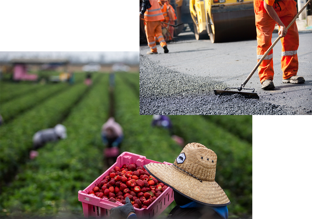 A photo collage depicting essential workers powering the American economy. A field worker in a straw hat holds a crate of freshly harvested strawberries in an agricultural field, contrasted with construction workers spreading asphalt on a road overlay.